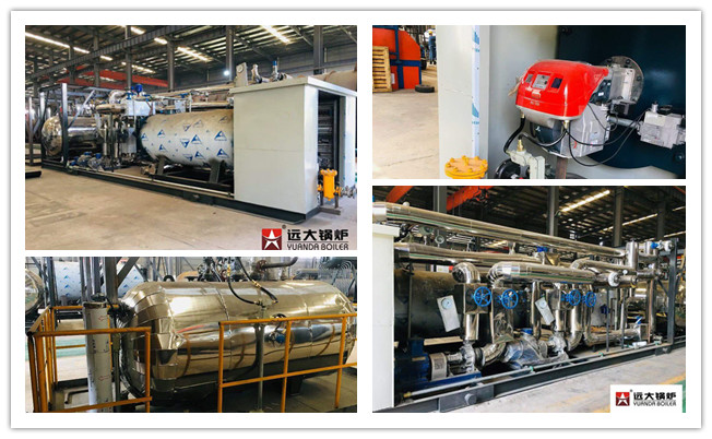 YY(Q)W 700Kw skid-mounted gas-fired thermal oil boiler to Russia
